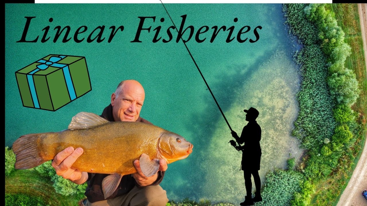 Carp fishing@Linear Fisheries Official and a first time give away on my channel.