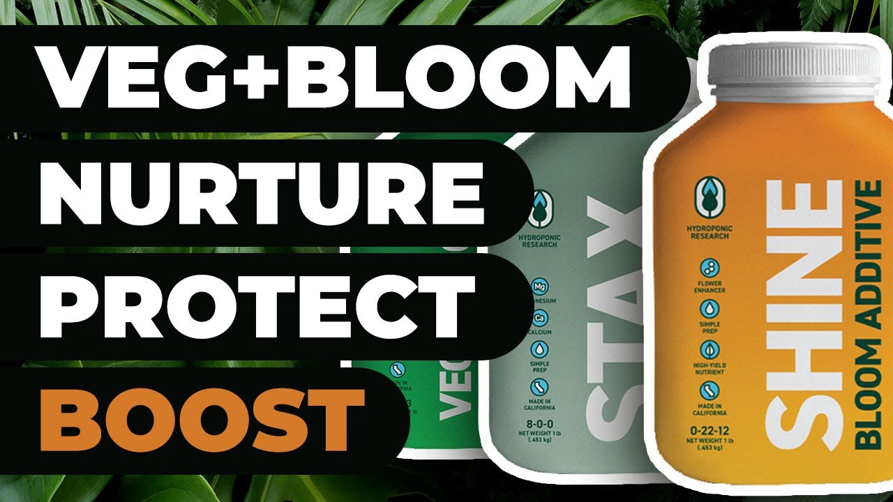 Hydroponic Research: Your Gateway to Advanced Hydroponic Solutions with Veg and Bloom (Veg+Bloom)