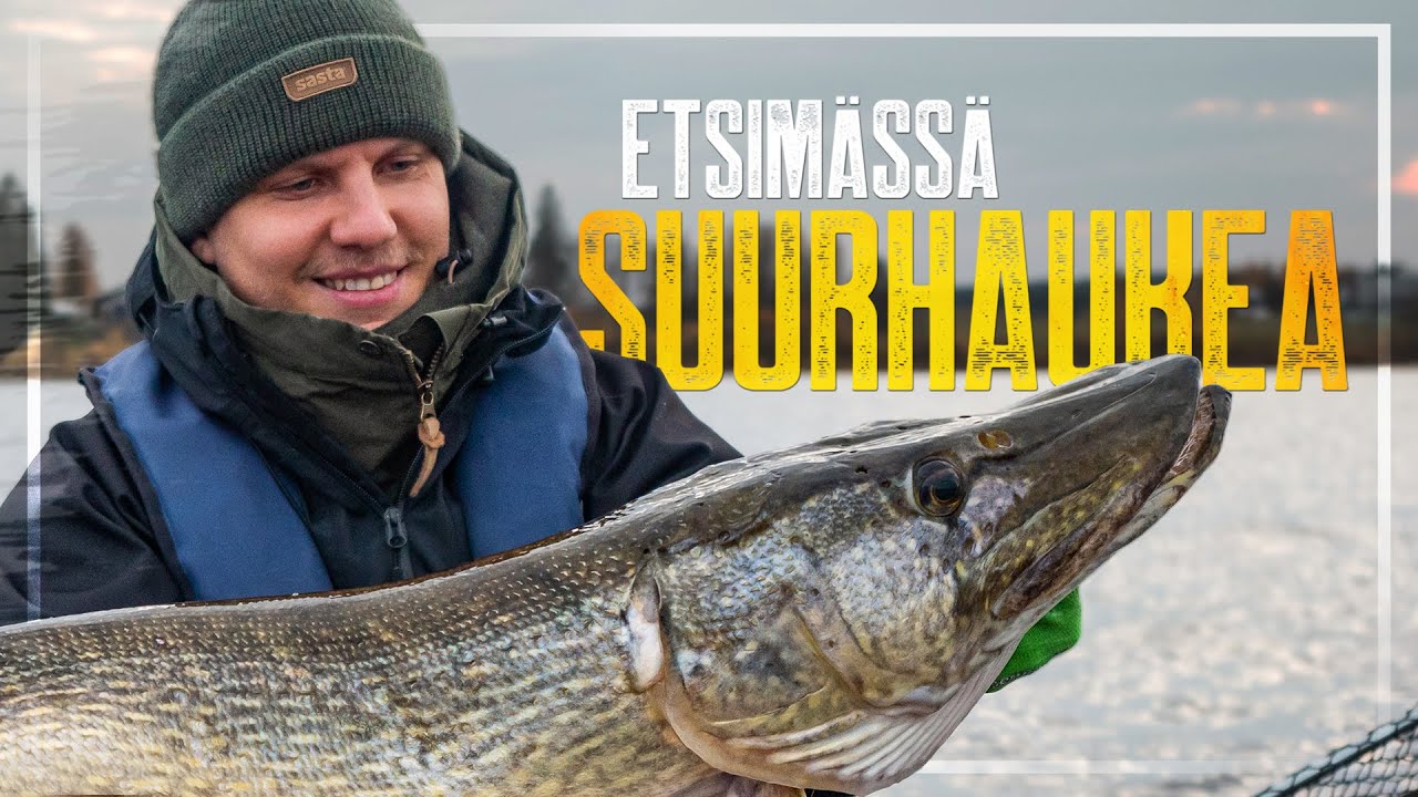 A VERY LONG PIKE [ENG SUB] – Autumn pike fishing in Finland