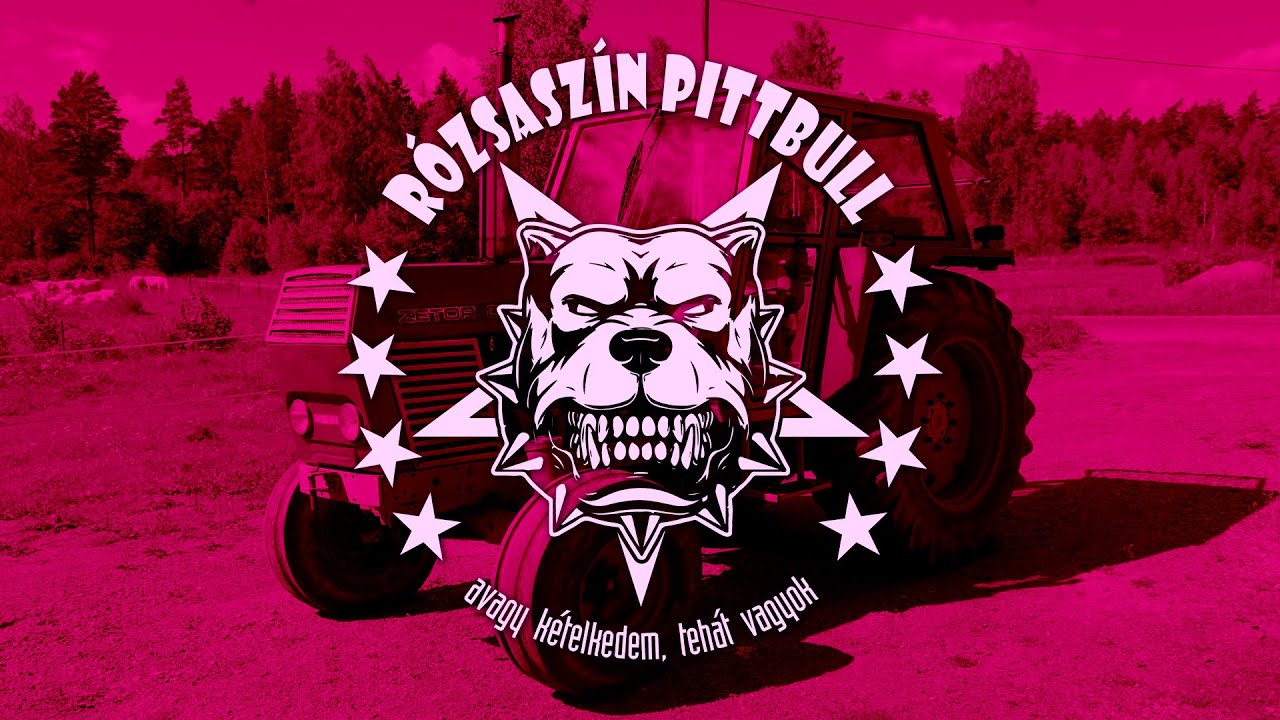 Rózsaszín Pittbull & Imre Norbi - Valaki beszorult egy zetorba -  (Zetorológusok kíméljenek!)