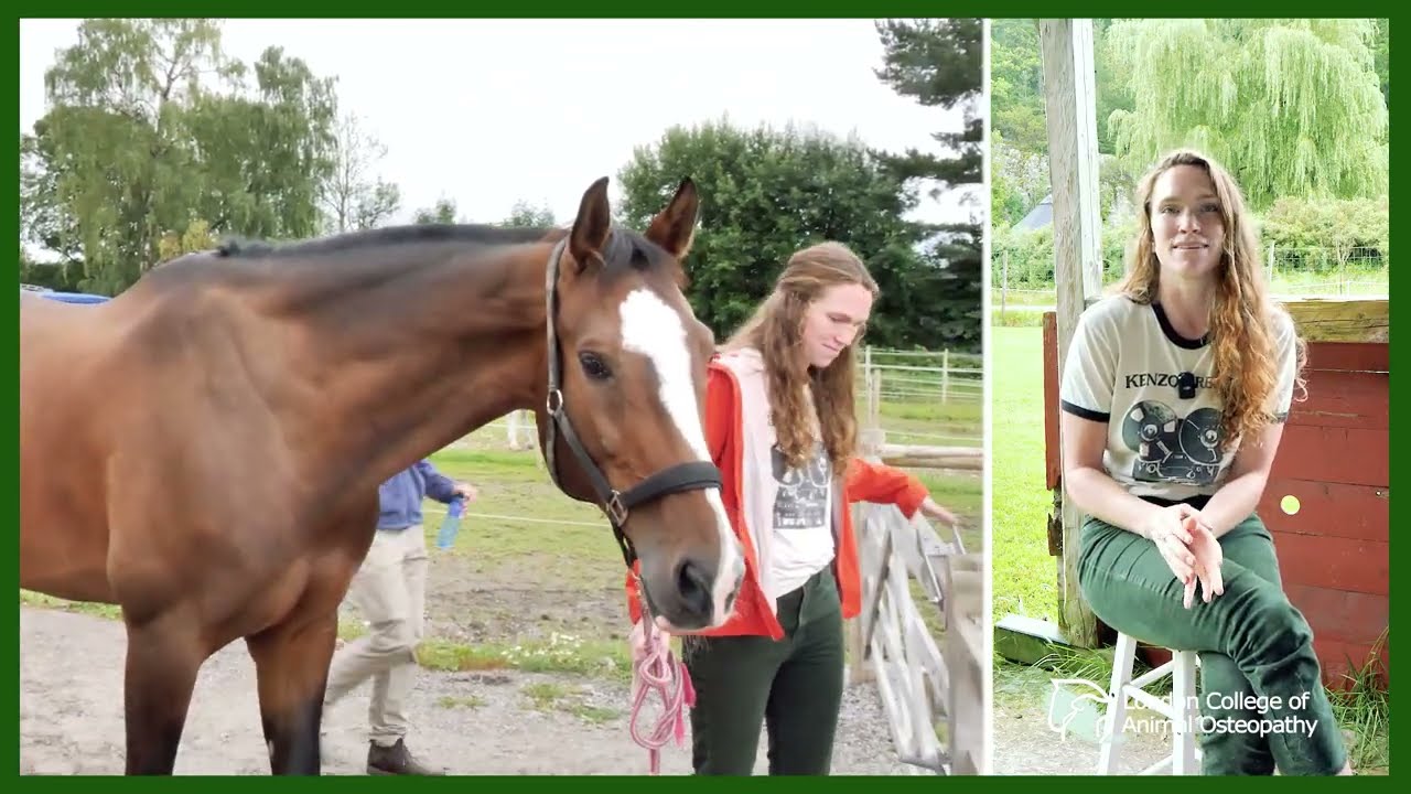 LCAO Student Stories- Kendra