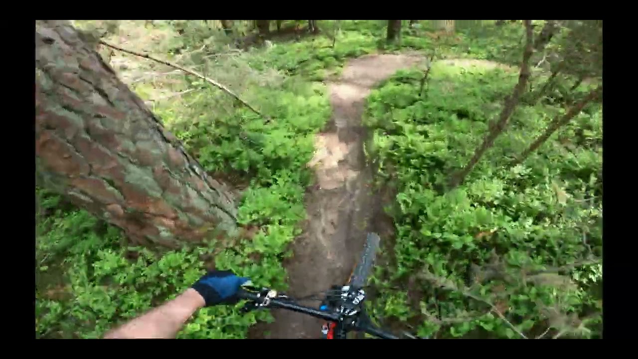 Heidenberg - Die ?-Trails
