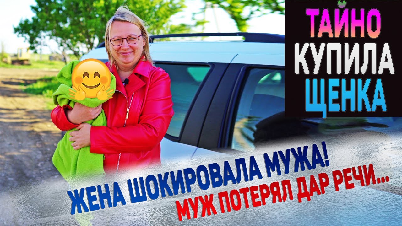 Щенок неожиданной породы! Никогда не догадаетесь!