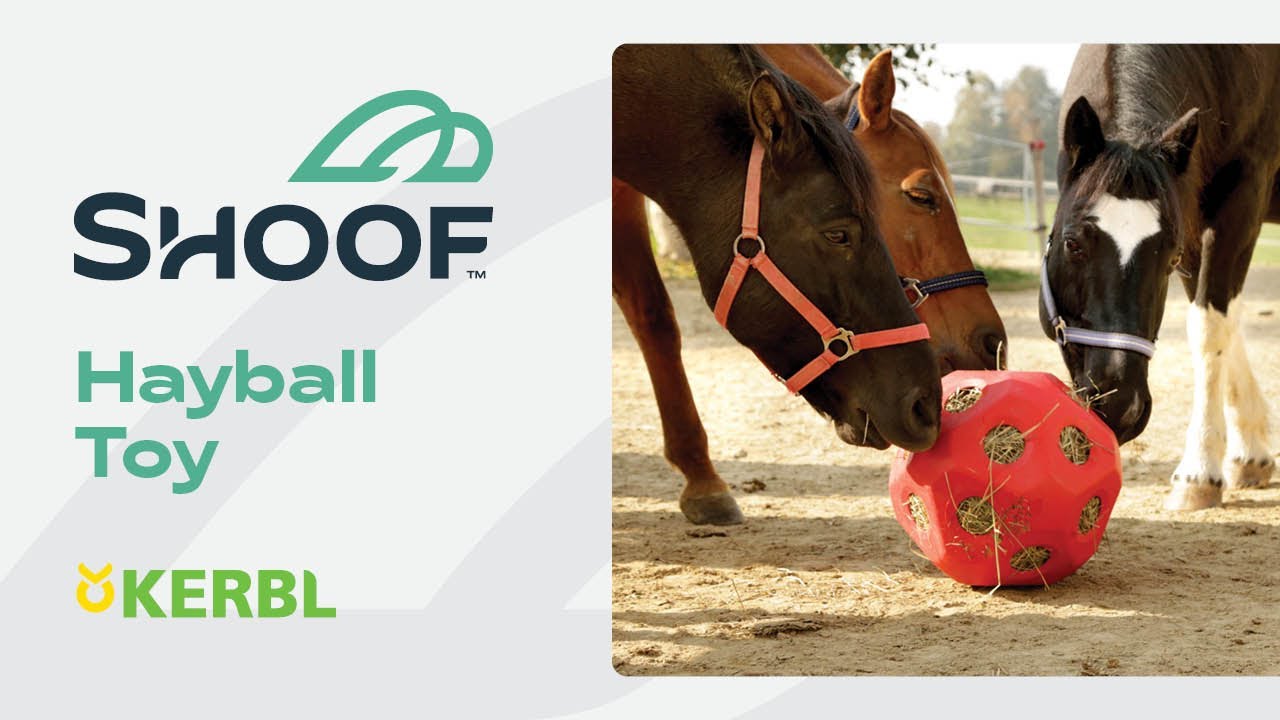 Kerbl Hayball