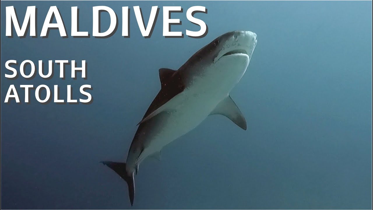 MALDIVES | South Tour | Part 2