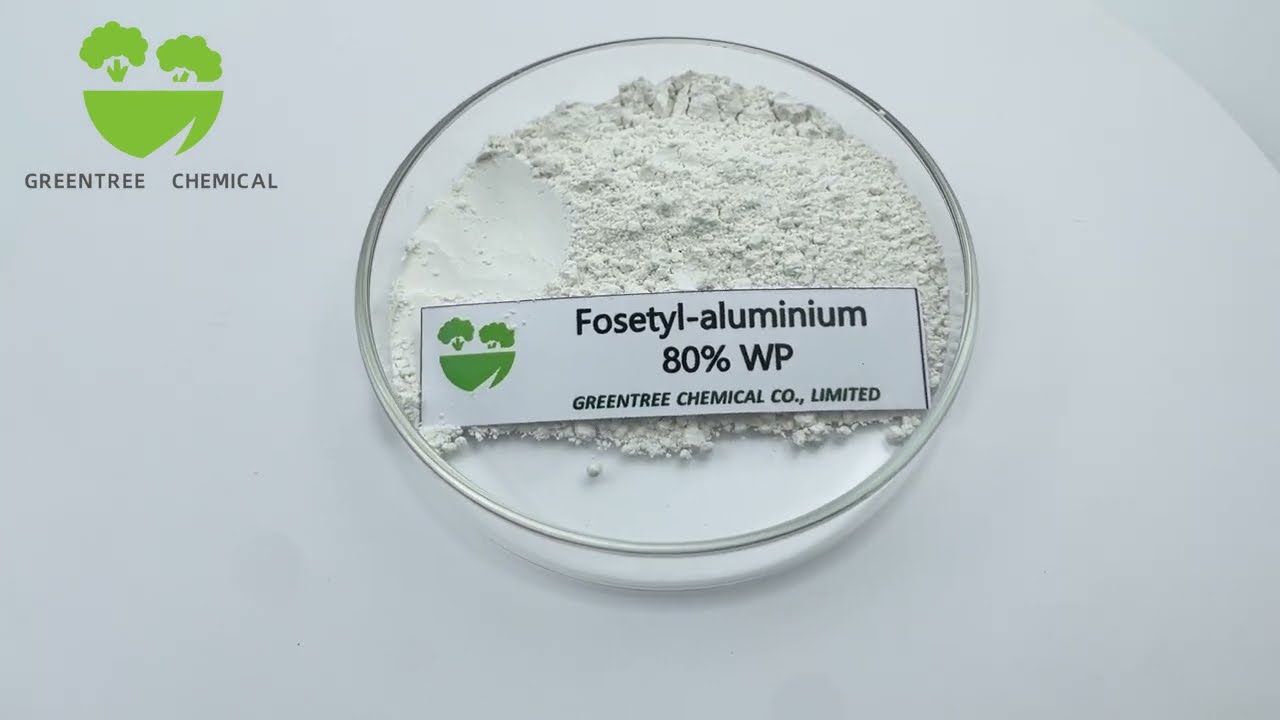Fosetyl aluminium 80% WP CAS: 39148-24-8