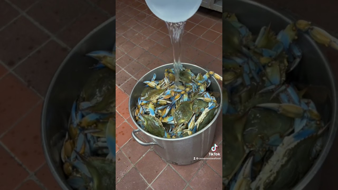 Как приготовить на пару бушель синих крабов!