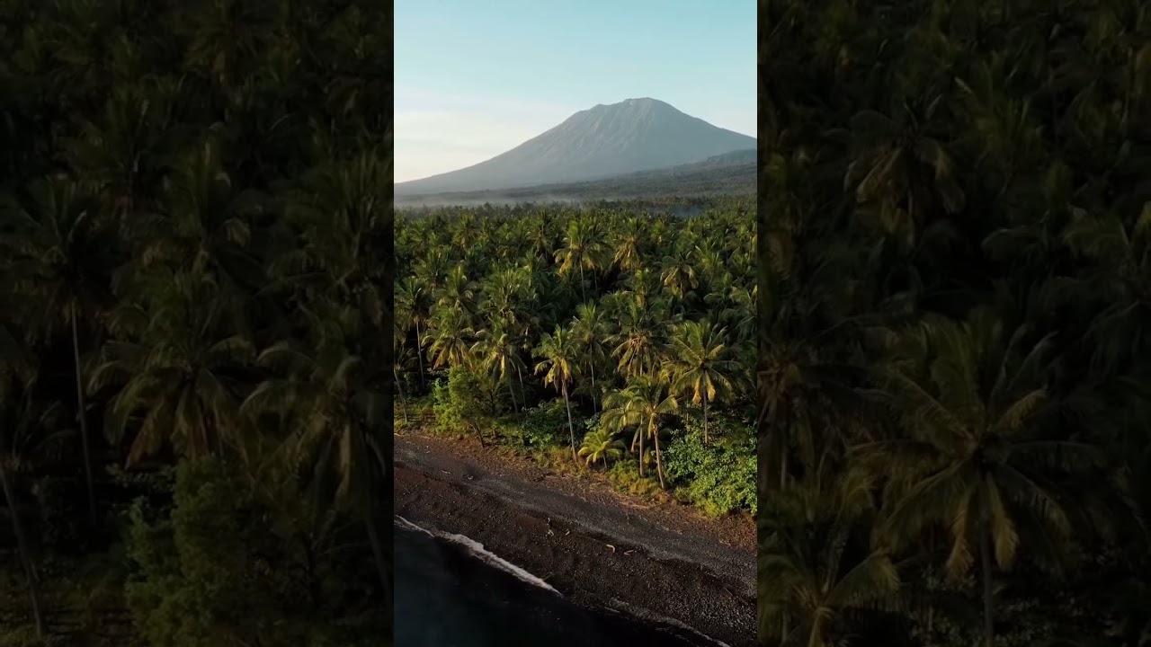 Ein wunderschöner Morgen am Strand! ⁠Video: @burakevgeniy (Instagram)