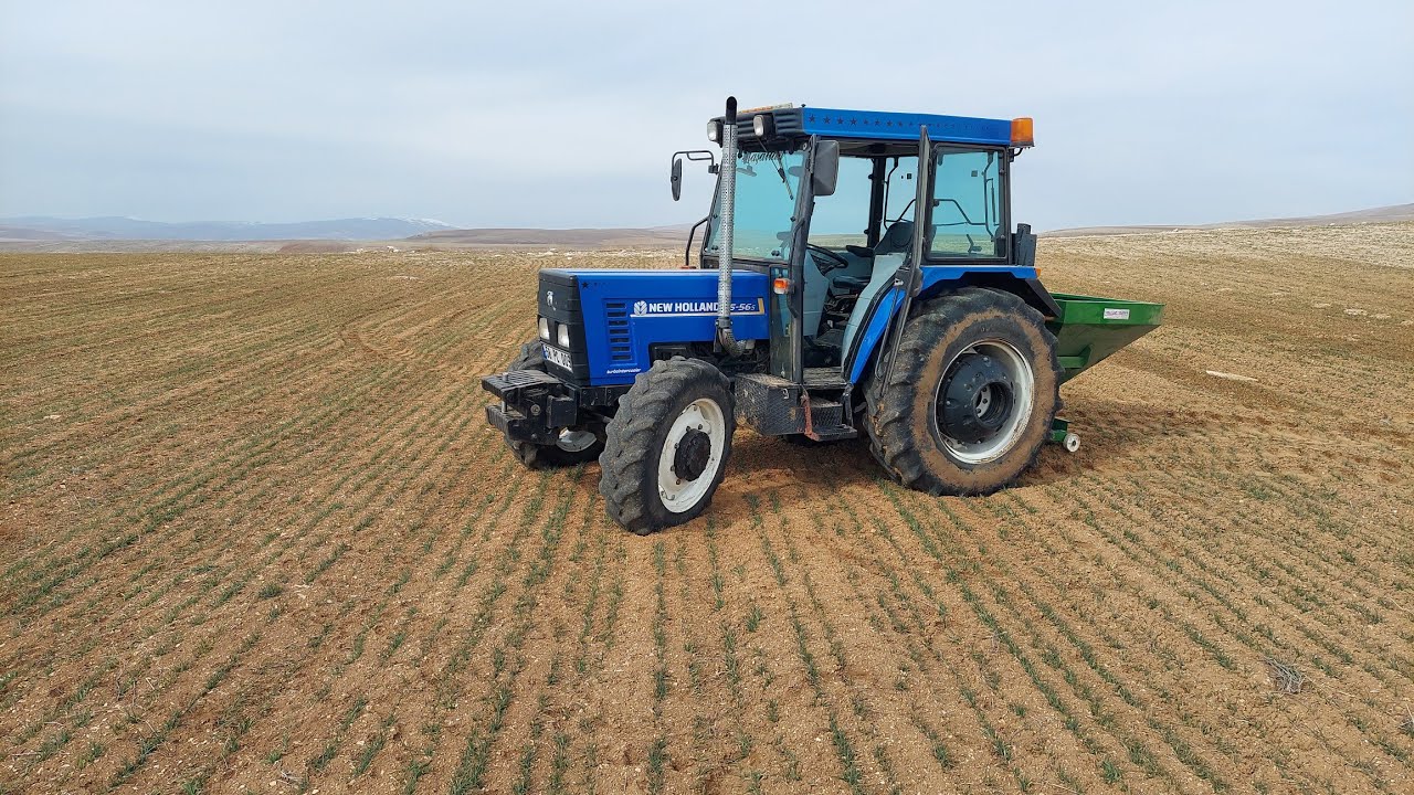 New Holland 75-56s ile buğdaylara 1. Gübre ÜRE atımı #Torosgübre #üre #7556