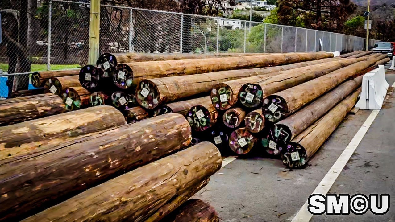 𝗥𝗘𝗕𝗨𝗜𝗟𝗗𝗜𝗡𝗚 𝗧𝗛𝗘 𝗕𝗔𝗖𝗞𝗕𝗢𝗡𝗘: Power Poles Staged in Temescal Canyon After Palisades Fire