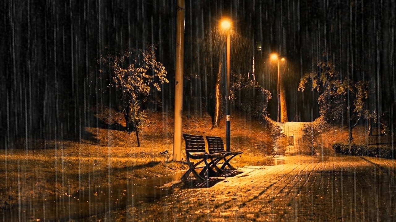 Rain Sounds for Solitude & Inner Peace | Cozy Park Bench Ambience