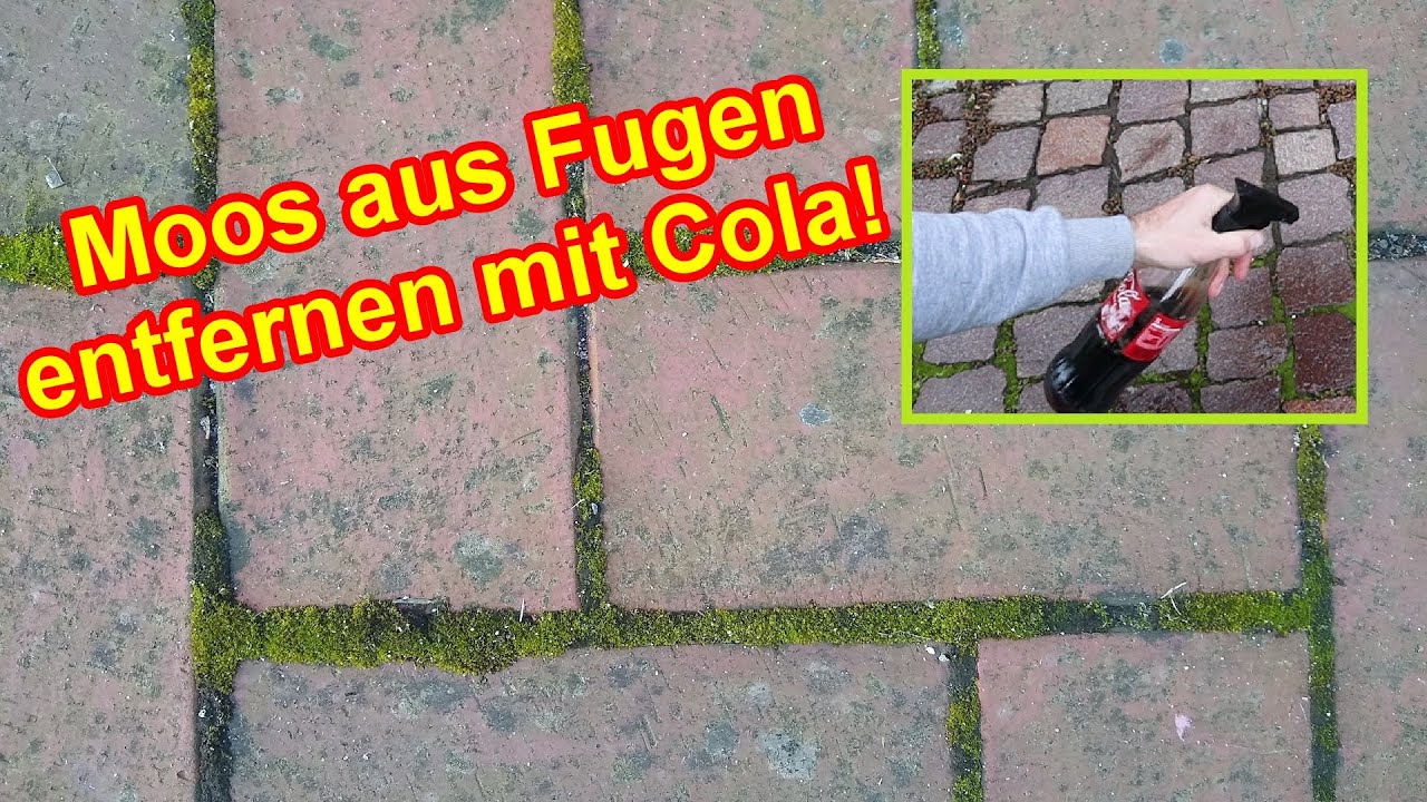 Moos aus Fugen entfernen & verhindern mit Cola  &ndash; Moos bei Pflasterfugen bek&auml;mpfen Anleitung