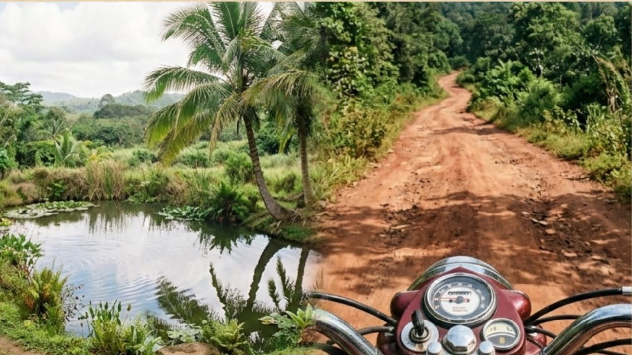 Moto vlog #Thalassery#Royal Enfield hunter#nature viral video 🌴🌴😊