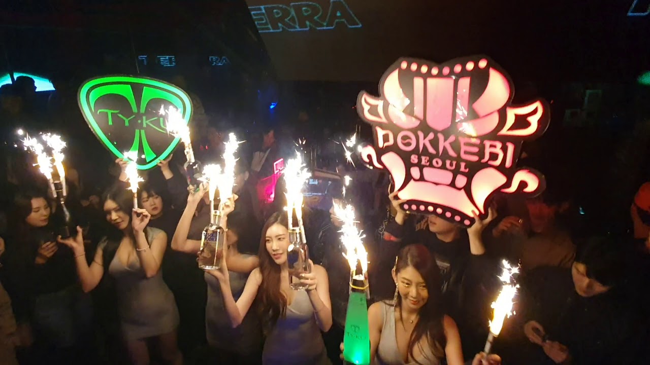 강남 클럽 도깨비 샴걸