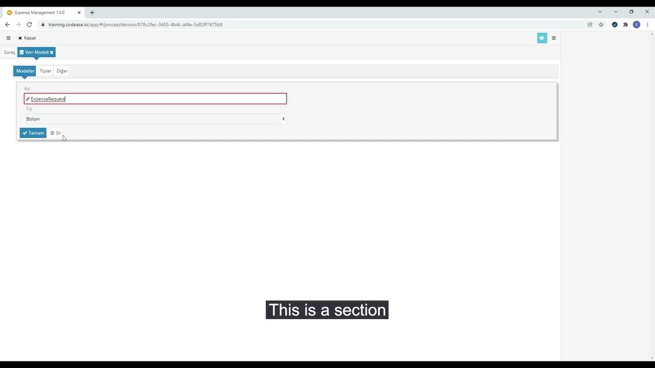 Codease ile  S&uuml;re&ccedil; ve veri modeli oluşturma