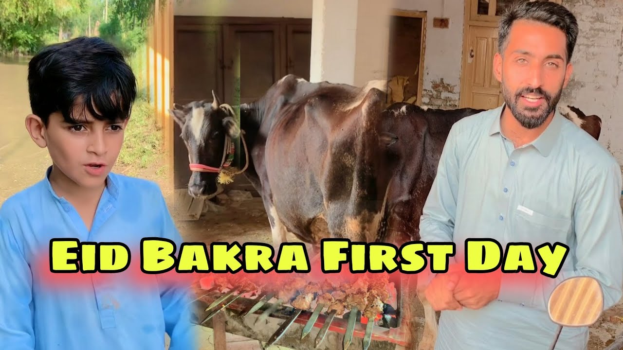 Bakra Eid First Day Vlog | Afaq Aw Nafees 2023