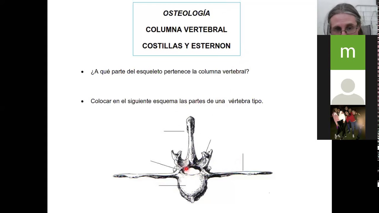 Clase Osteología (Columna Vertebral, parte 1)