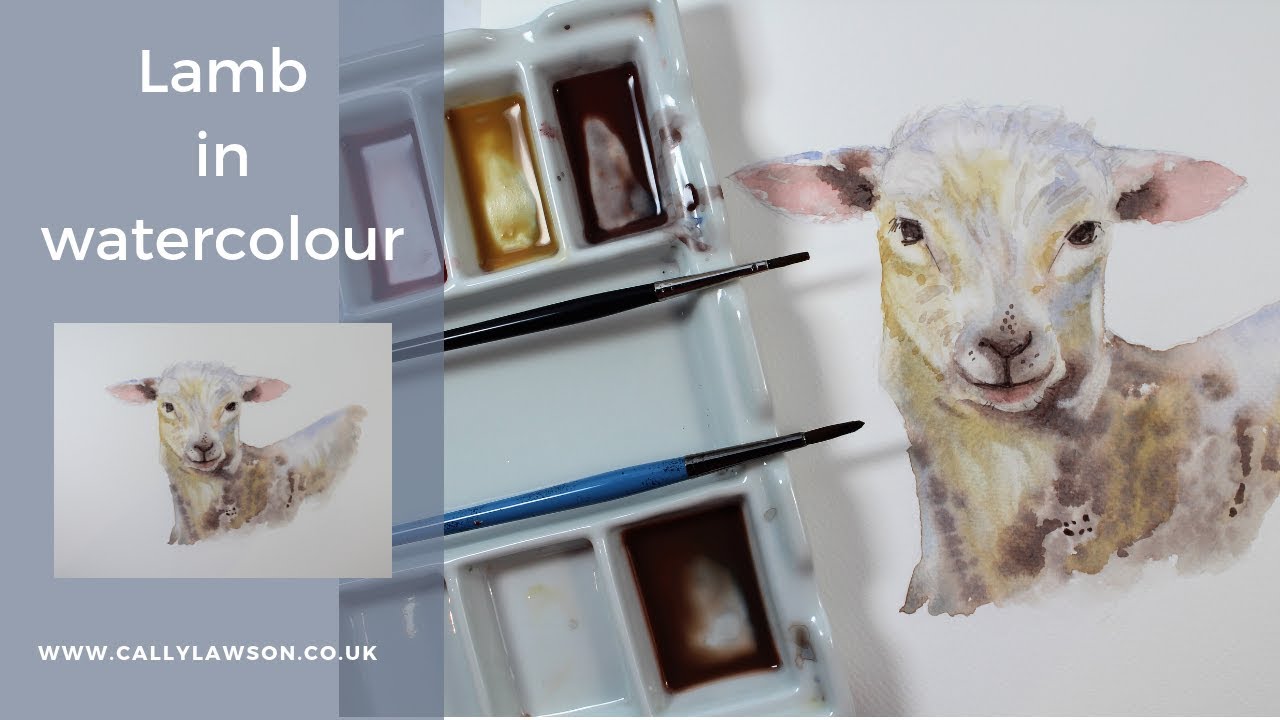 Beginners watercolour lesson. How to draw and paint a lamb.