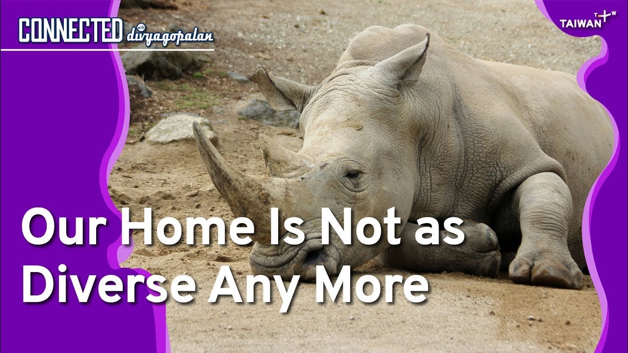 Earth&rsquo;s Disappearing Wildlife | Connected with Divya Gopalan