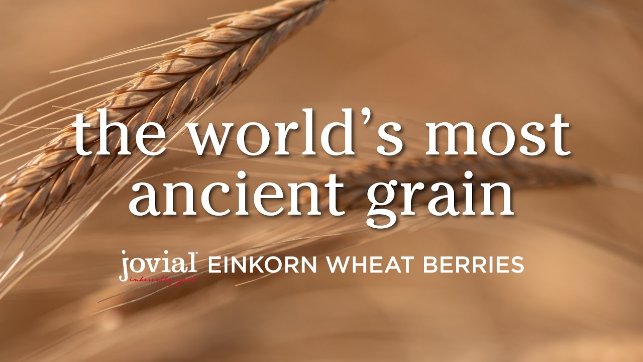 Jovial Einkorn Wheat Berries: The World's Most Ancient Grain