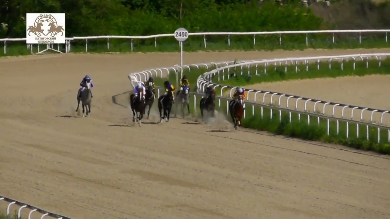 15.05.2022 - Пробный Приз (III гр.) на кобылах 2-х лет арабской породы - Сальма
