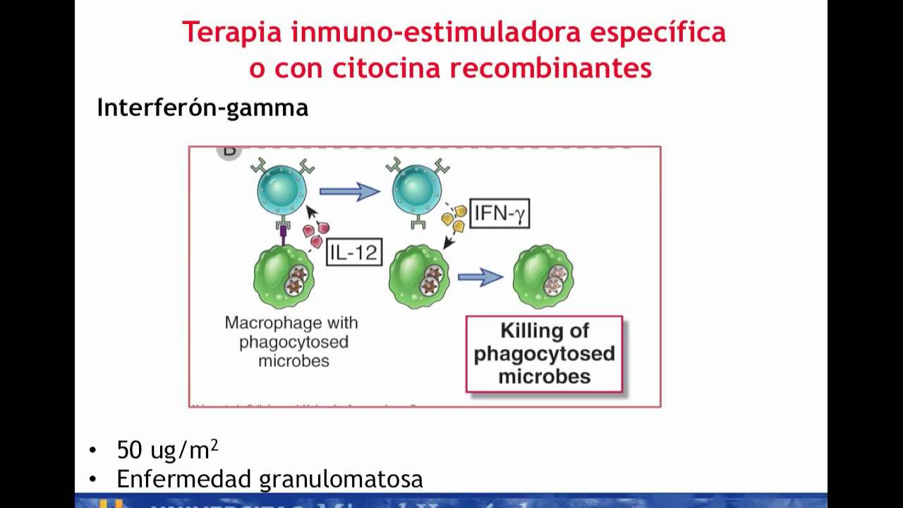 Lec005 Tratamiento farmacol&oacute;gico de base inmunol&oacute;gica IV (umh1947 2013-14)