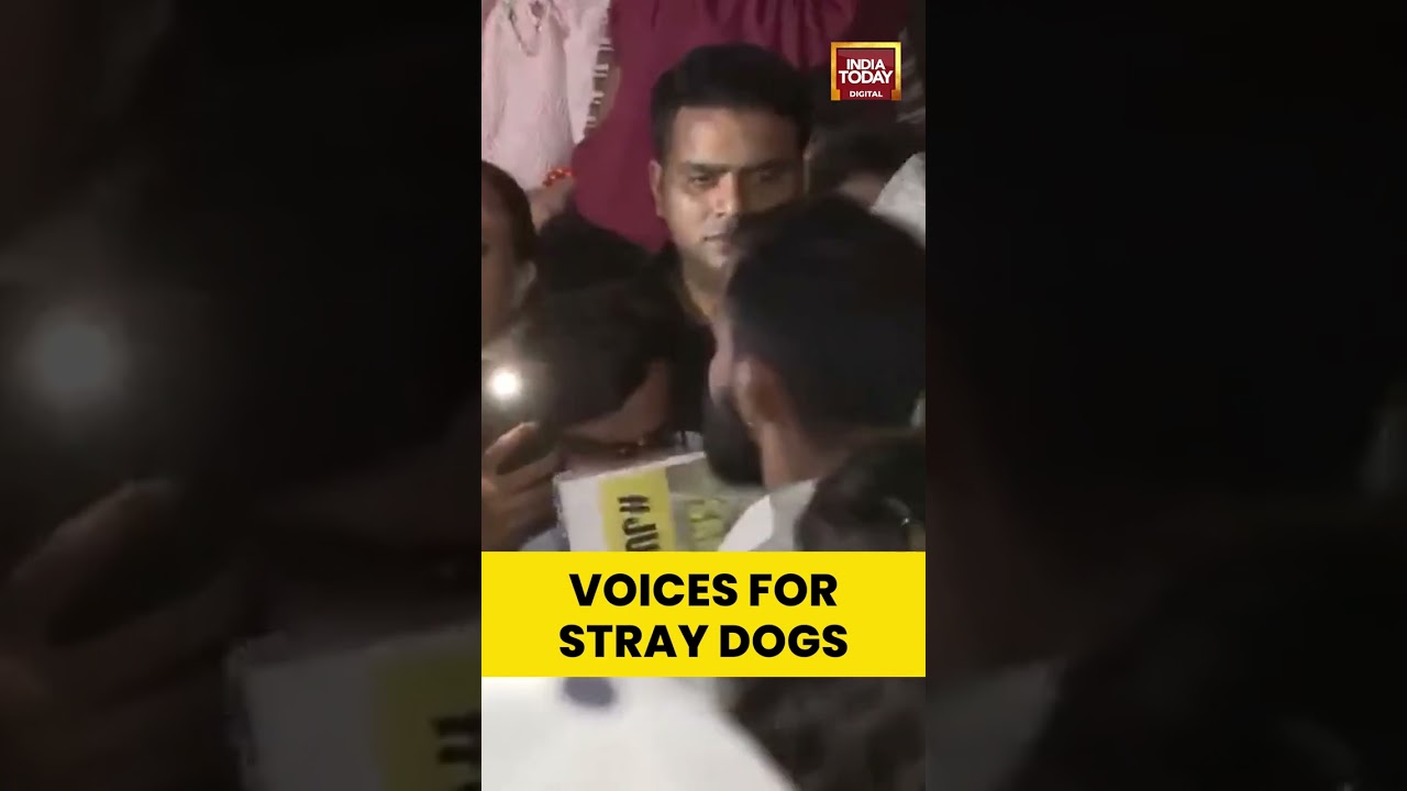 Protest Erupts At India Gate Over Sc Order To Remove Stray Dogs From Public And Institutional Areas