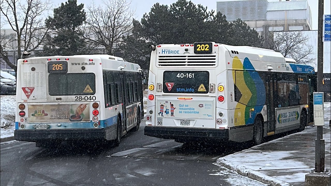 STM bus compilation (December 2025)