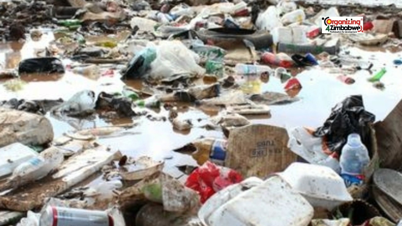 The State of Service Delivery in Harare