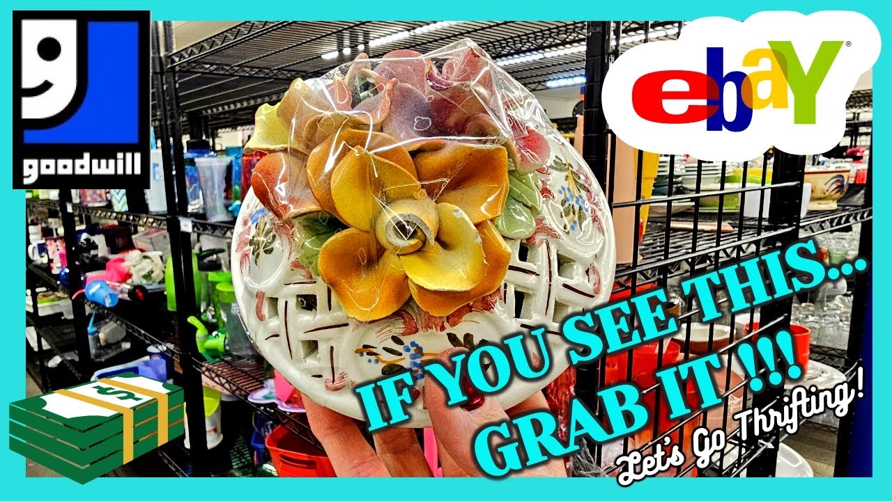 I MADE a $100 MISTAKE at GOODWILL! / Some EXCITING NEWS! / THRIFT WITH ME / SHOP my VINTAGE BOOTH