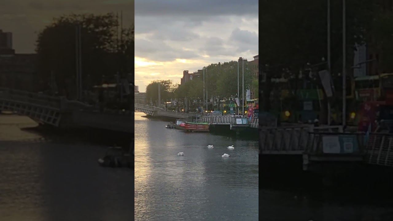 #summerindublin