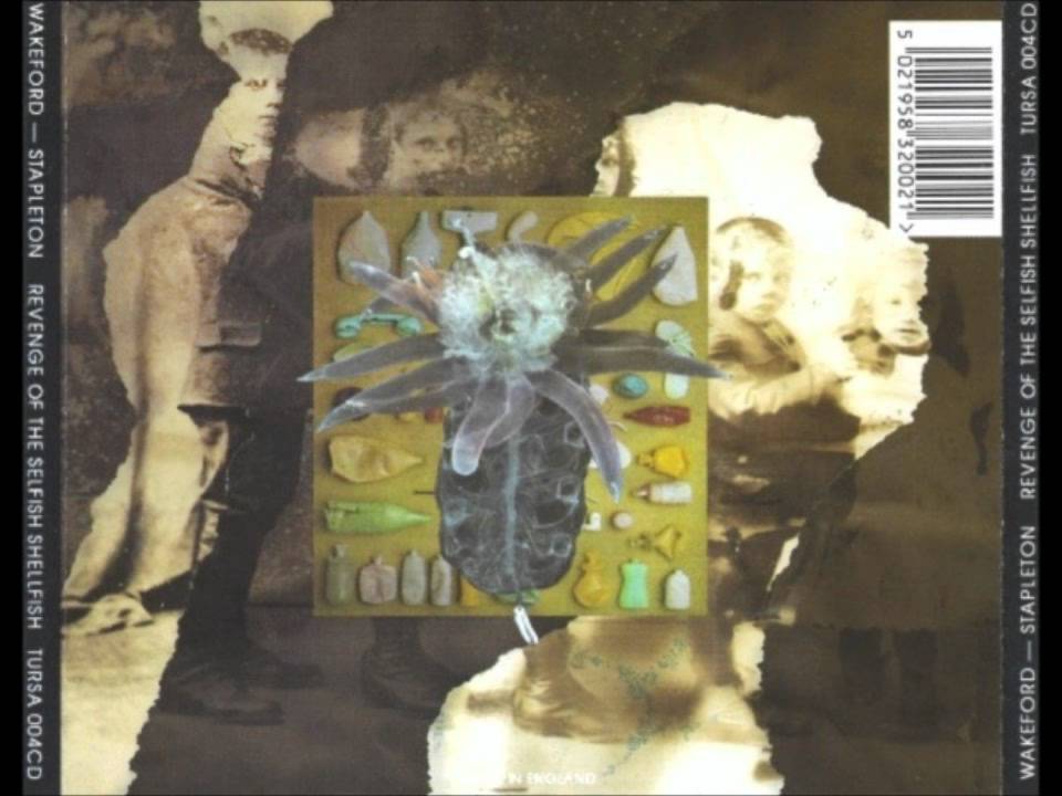Stephen Stapleton & Tony Wakeford - Amoeba