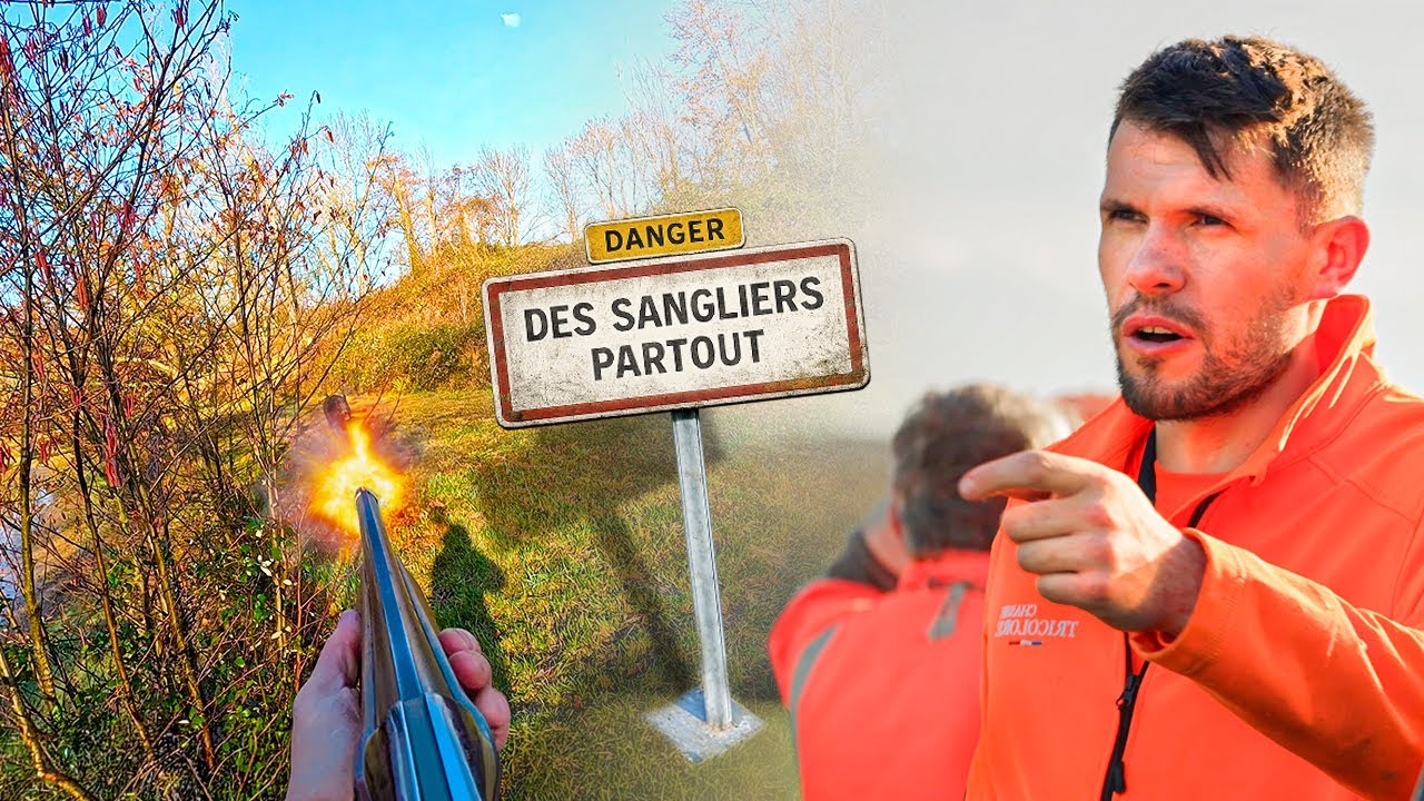 CHASSE AUX SANGLIERS PHÉNOMÉNALE, la première battue aux sangliers de 2026