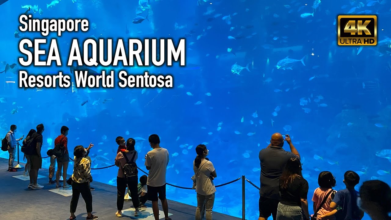 Singapore's amazing SEA Aquarium - Resorts World Sentosa