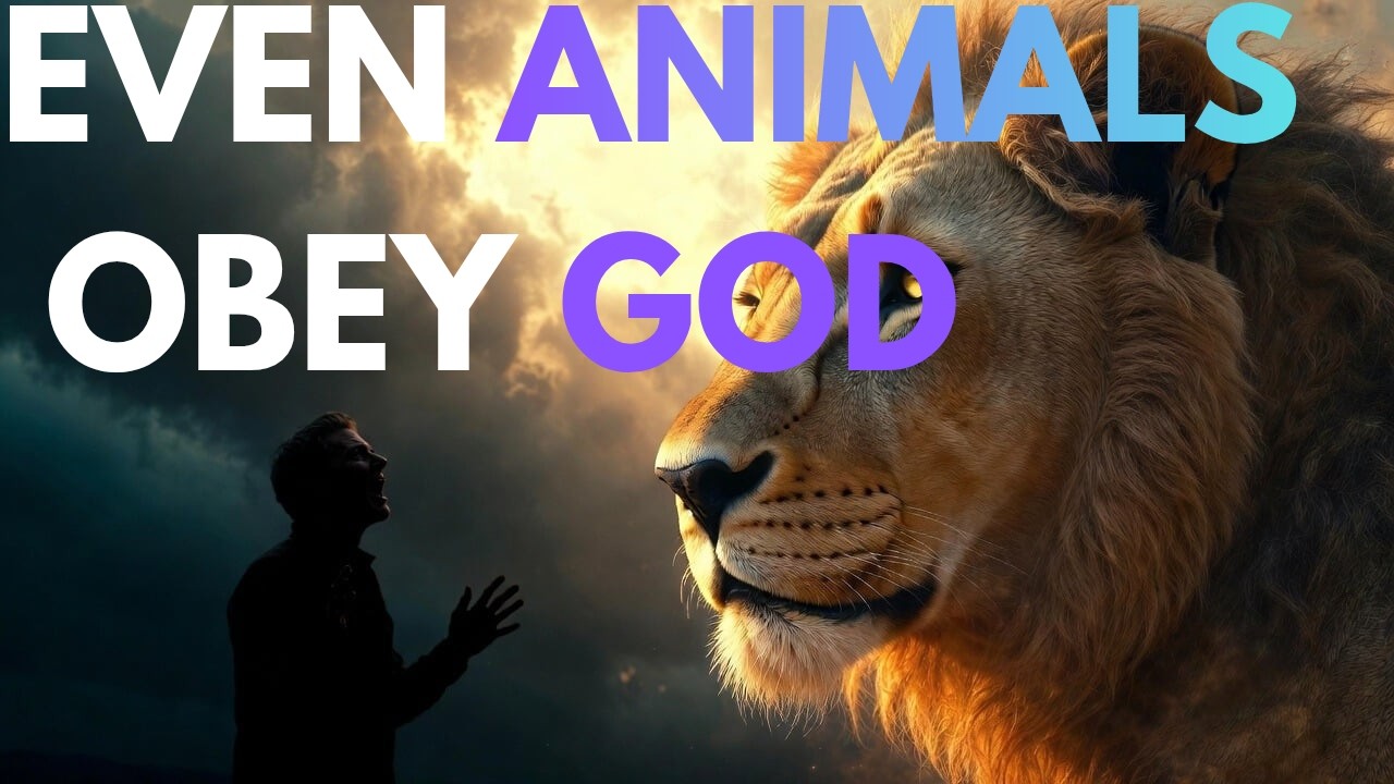 Even Animals Obeyed God |Why Don't We?