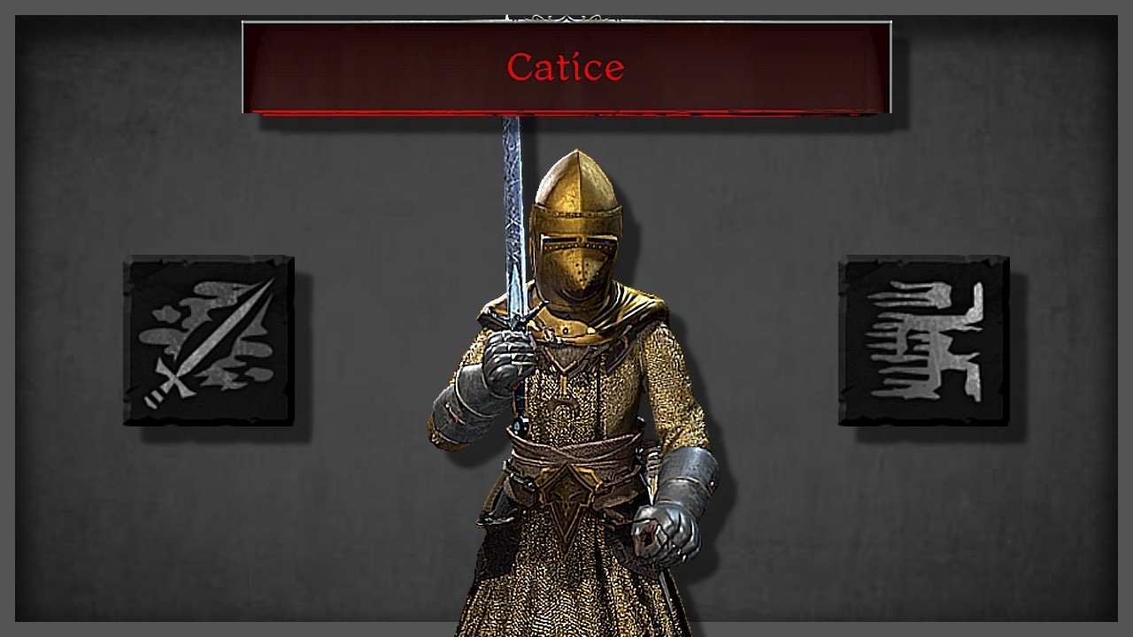 Тестирую БЕЗУМНЫЙ танковый билд с Catice на варлоке...
