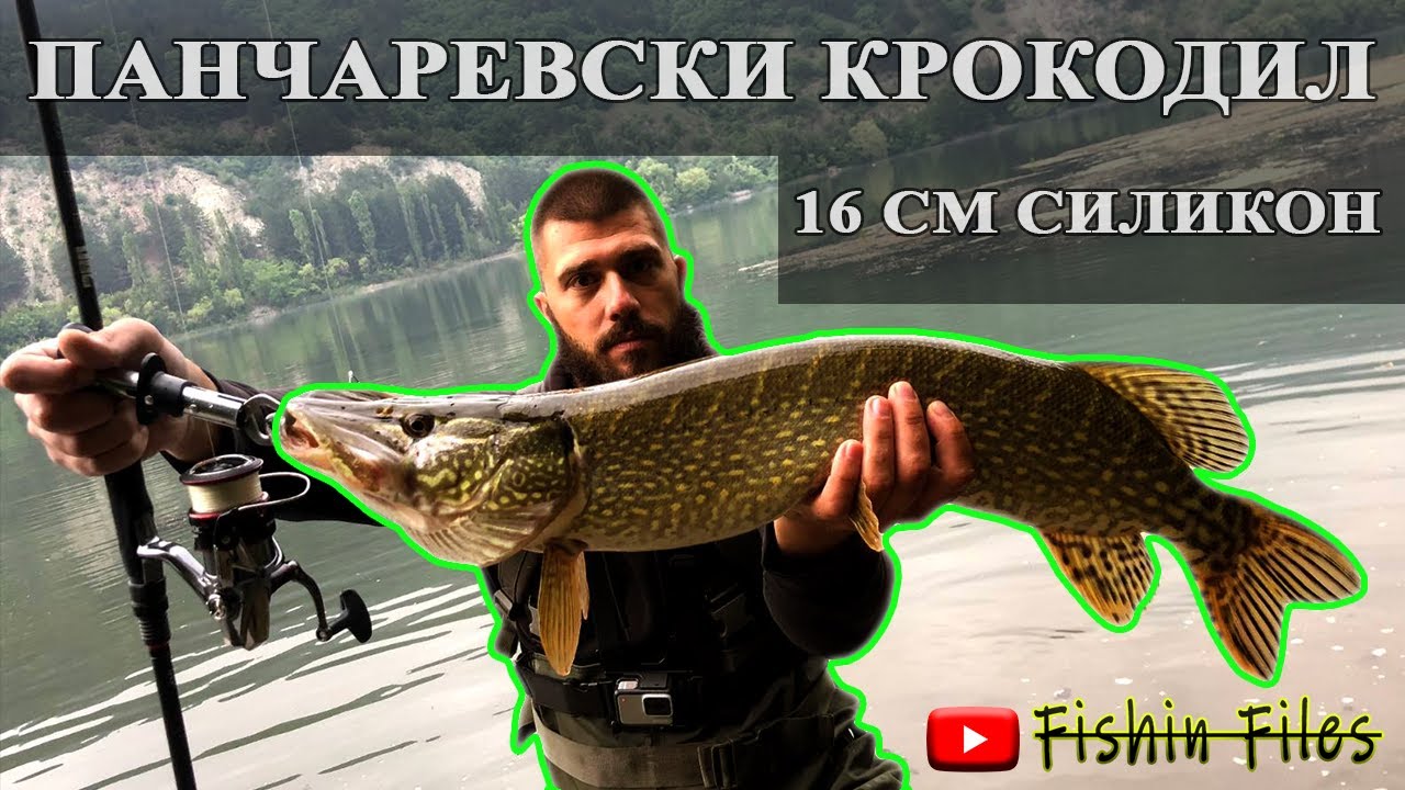 ГОЛЯМА ЩУКА НА ПАЧАРЕВО | СПИНИНГ С ШАД СИЛИКОН