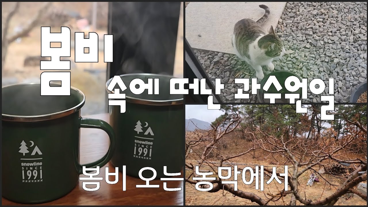 봄비 오는 과수원의 농막생활