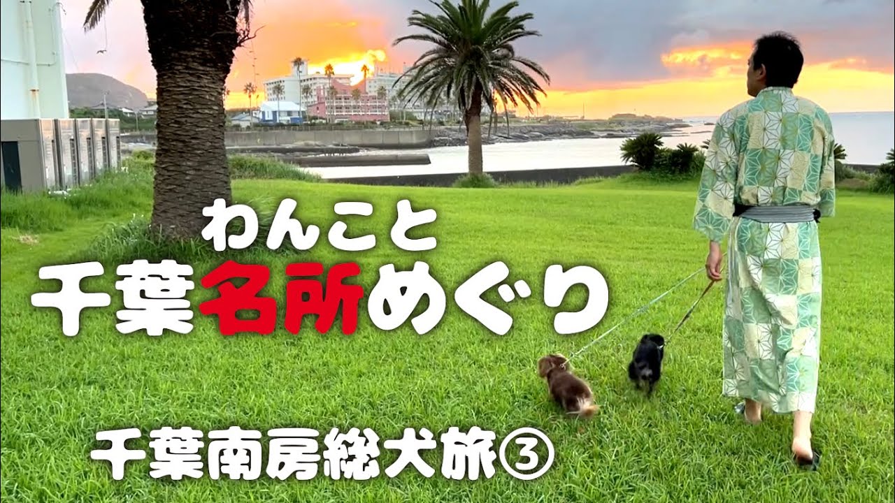 【犬連れ旅行千葉南房総宿&観光】野島埼灯台•木村ピーナッツ•沖ノ島公園(無人島) 1泊2日わんこ旅3/3 2022.9