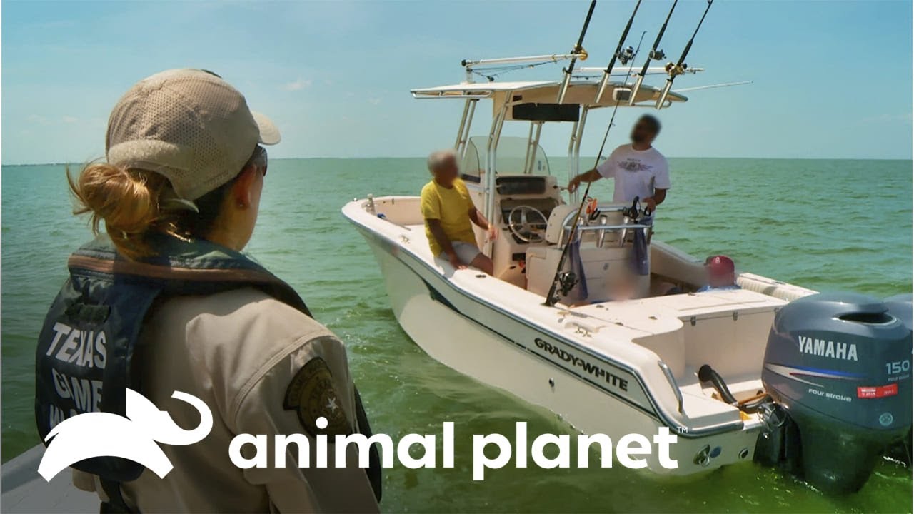 Inspección de botes de pesca | Guardianes de Texas | Animal Planet