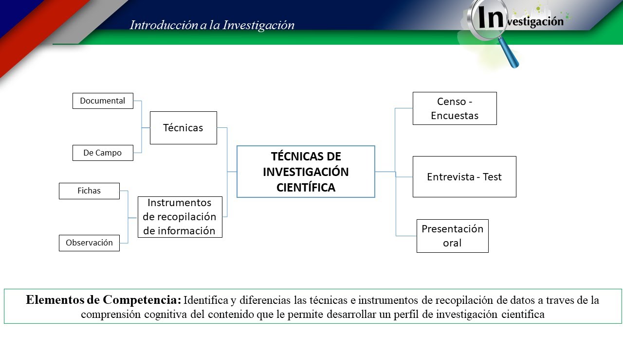 Técnicas de Investigación: población y muestra