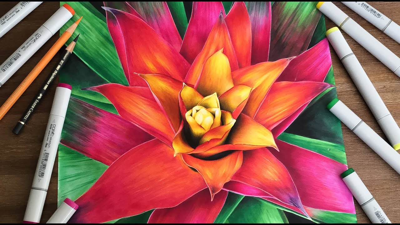 Flower - Time lapse drawing