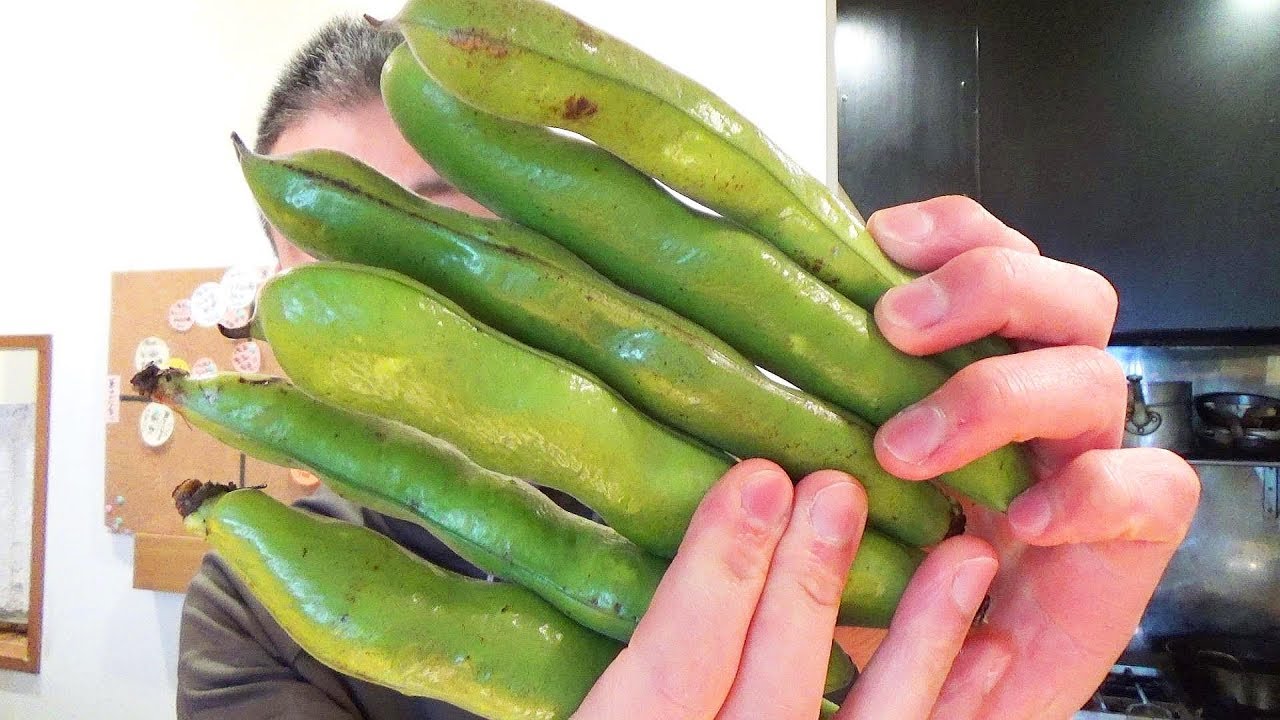 보기드문 콩을 바삭하게 튀겨서 먹어보니 장난아님 Fava Beans and Shrimp Tempura | Fava Beans Recipe