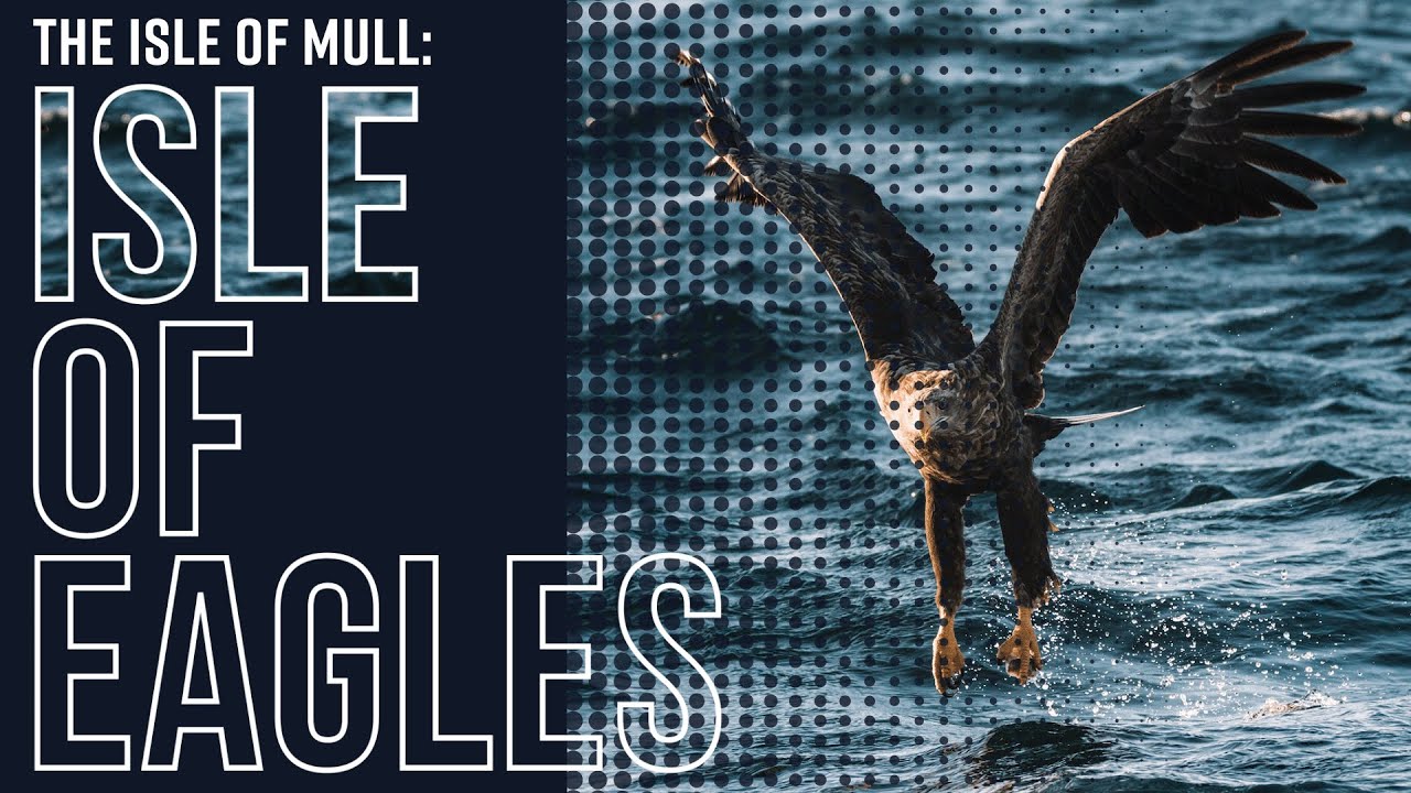 Isle of Eagles | The Isle of Mull