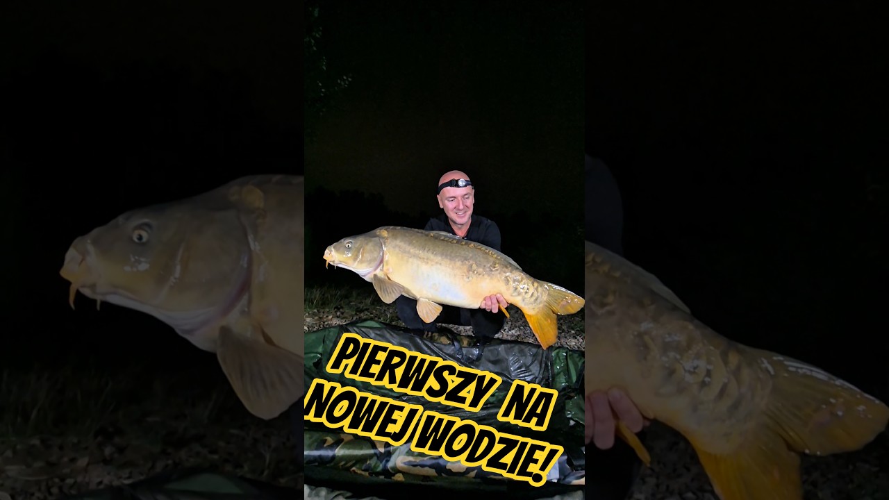 Jest! Pierwszy karp Łukasza na Skarpeta i Carp Cola na nowej wodzie #nltsklep #carpfishing #carp
