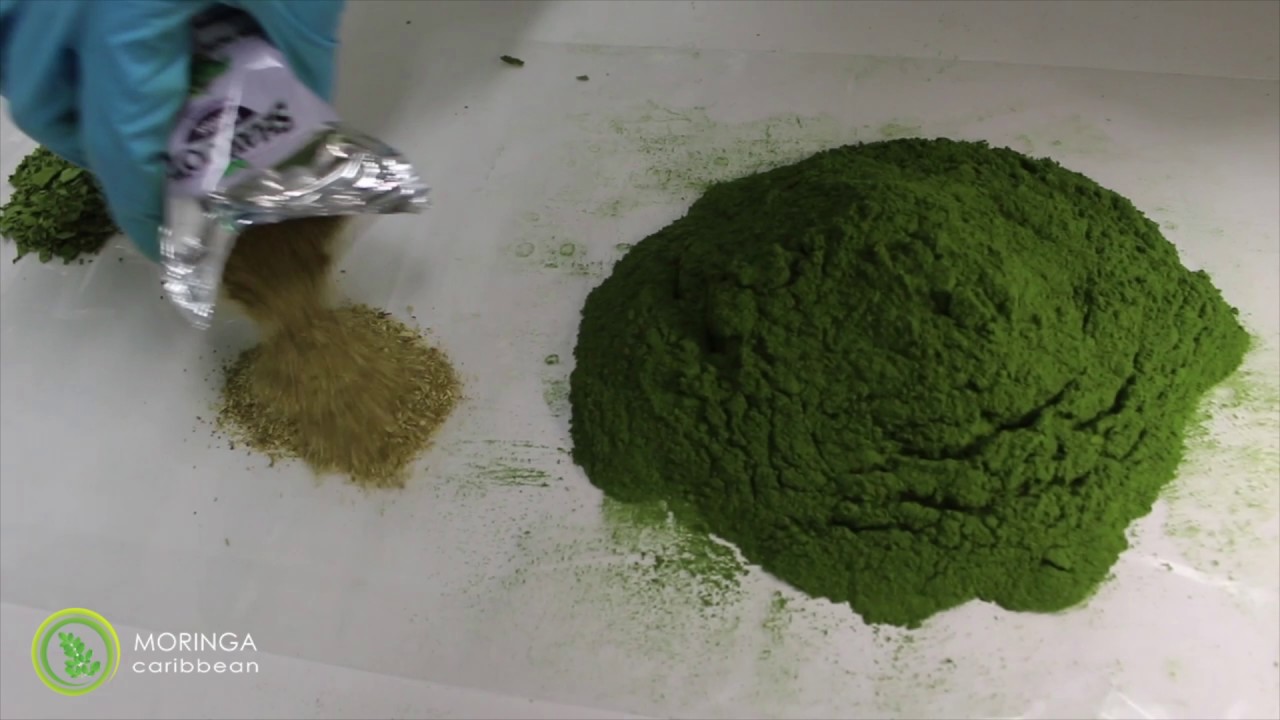 Quality of Moringa