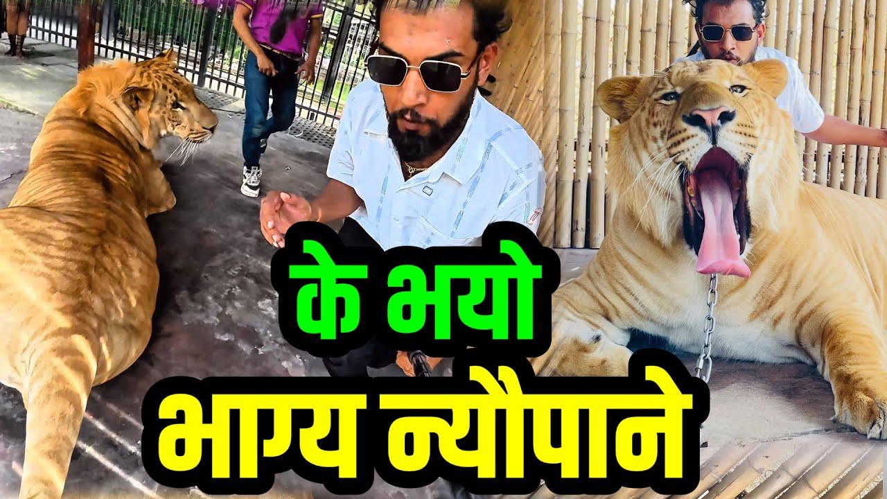 भाग्य न्यौपानेको यस्तो भिडियो आयो Thailand देखि Bhagya Neupane @ Zoo 🦁🐒 Animal Fun Time!” Part-18