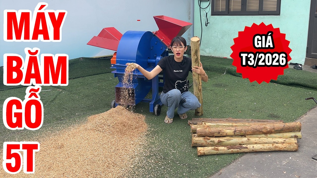 🔥 Máy Băm Gỗ Đa Năng 5T GIÁ CỰC SỐC Tại Xưởng Sản Xuất 2026| Giá Bán Tháng 3/2026