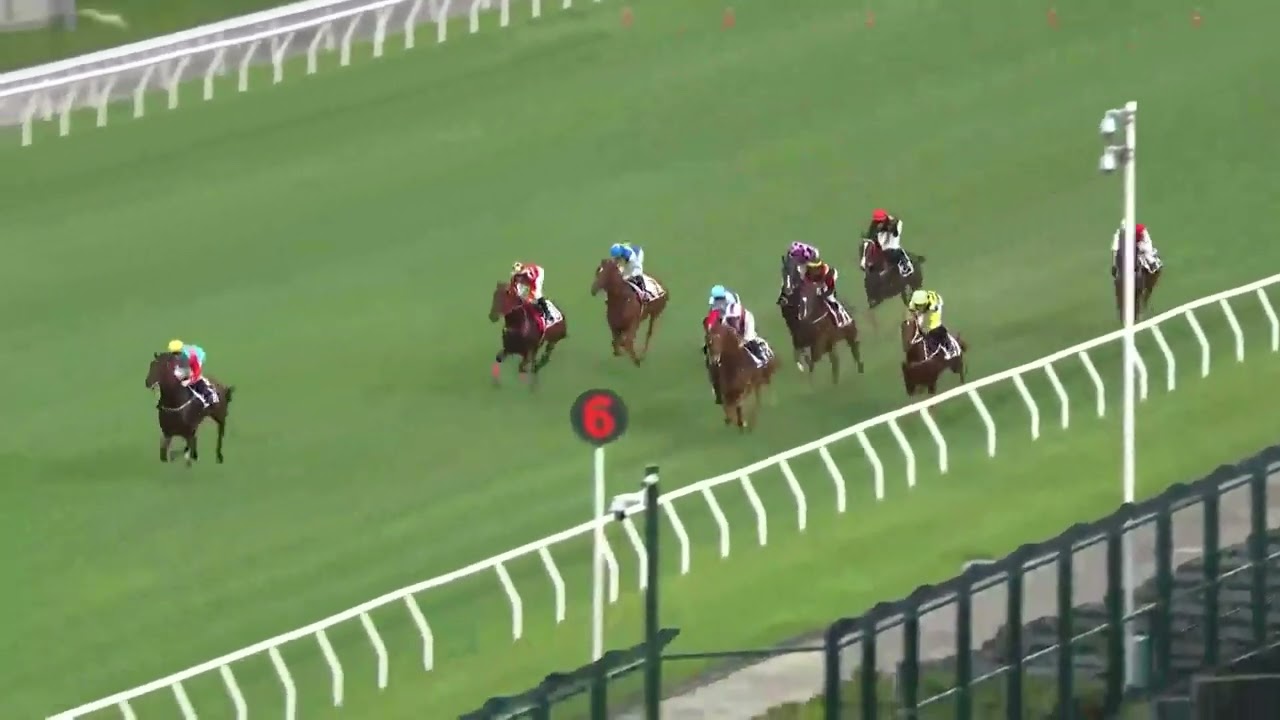 "Bring on the TAB Everest!" 🏔️ Ka Ying Rising trials in Hong Kong