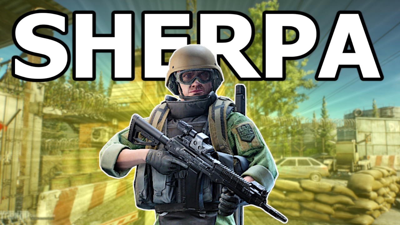 I Tried To Carry A New Player Through Tarkov | PvE